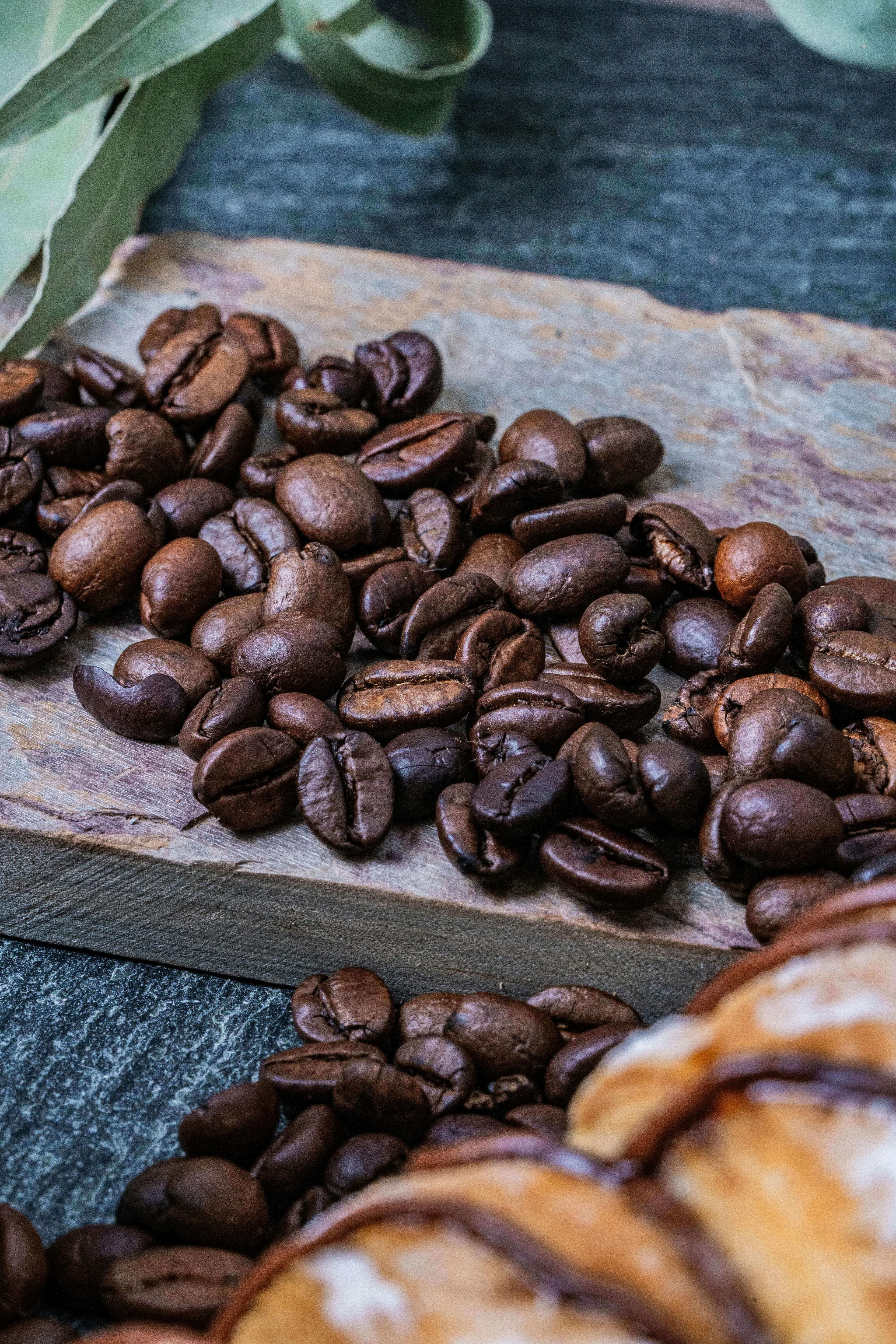 Informations Café artisanal  haut-de-gamme