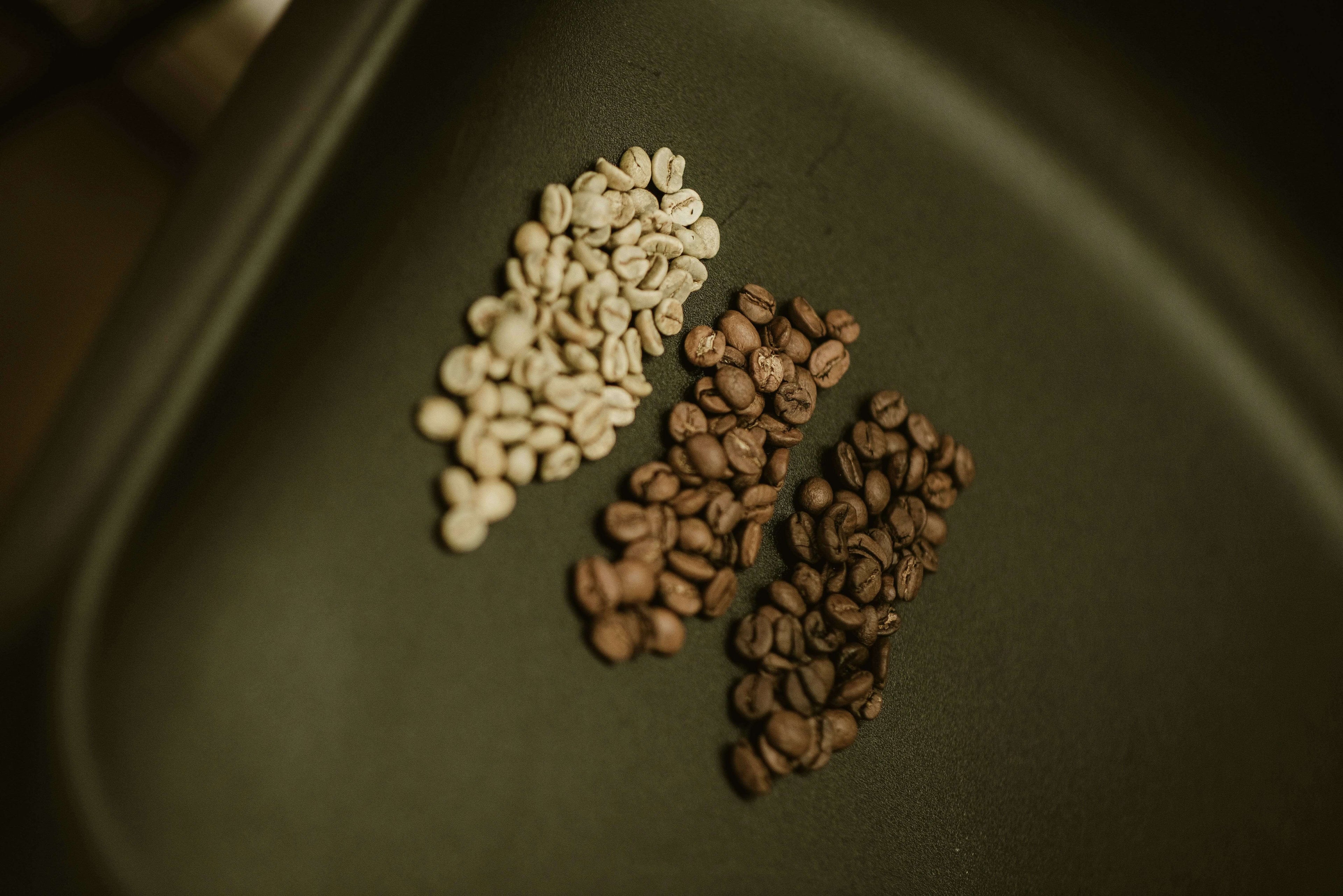 Café torréfacteur Artisanal haut-de-gamme arabica et robusta