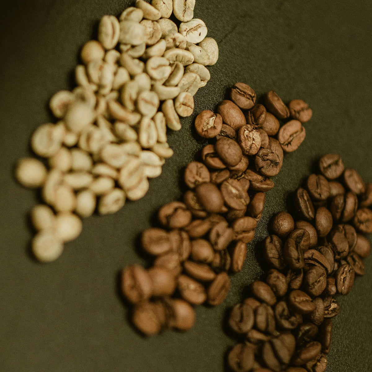 Torréfacteur de Café Maison Lannagold